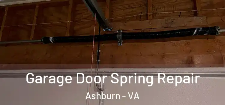  Garage Door Spring Repair Ashburn - VA