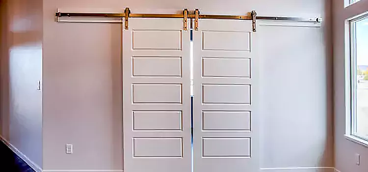 Glass Barn Door with Installation Hardware Kit Ashburn