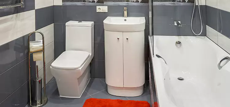 Hansgrohe Shaving Mirror Ashburn